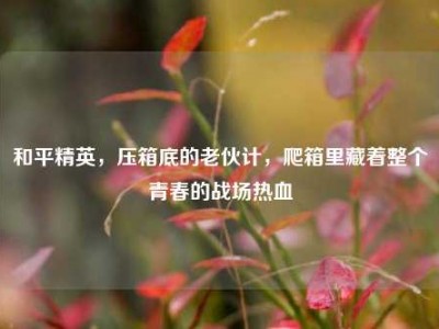 和平精英，压箱底的老伙计，爬箱里藏着整个青春的战场热血