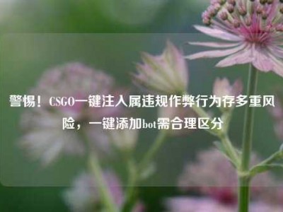 警惕！CSGO一键注入属违规作弊行为存多重风险，一键添加bot需合理区分