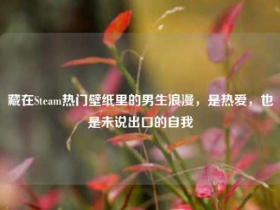 藏在Steam热门壁纸里的男生浪漫，是热爱，也是未说出口的自我