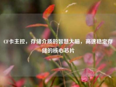 CF卡主控，存储介质的智慧大脑，高速稳定存储的核心芯片