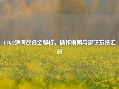 CSGO瞬间改名全解析，操作指南与趣味玩法汇总
