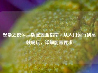 堡垒之夜Steam版配置全指南，从入门运行到高帧畅玩，详解配置要求
