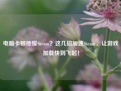 电脑卡顿拖慢Steam？这几招加速Steam，让游戏加载快到飞起！