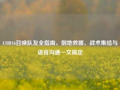 COD16召唤队友全指南，倒地救援、战术集结与语音沟通一文搞定