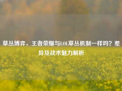 草丛博弈，王者荣耀与LOL草丛机制一样吗？差异及战术魅力解析