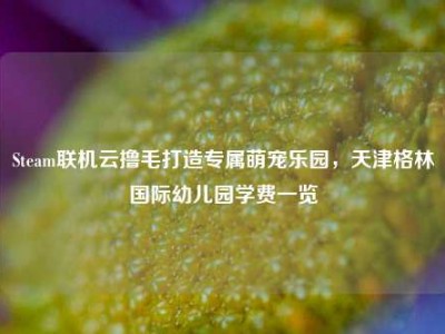 Steam联机云撸毛打造专属萌宠乐园，天津格林国际幼儿园学费一览