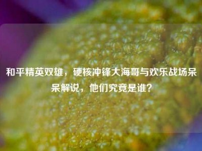 和平精英双雄，硬核冲锋大海哥与欢乐战场呆呆解说，他们究竟是谁？