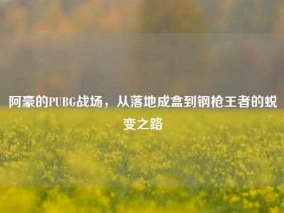 阿豪的PUBG战场，从落地成盒到钢枪王者的蜕变之路