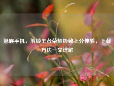 魅族手机，解锁王者荣耀极致上分体验，下载方法一文详解