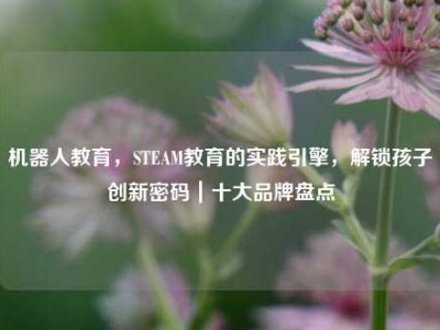 机器人教育，STEAM教育的实践引擎，解锁孩子创新密码｜十大品牌盘点