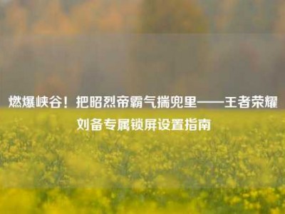 燃爆峡谷！把昭烈帝霸气揣兜里——王者荣耀刘备专属锁屏设置指南