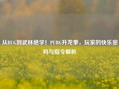 从BUG到武林绝学！PUBG升龙拳，玩家的快乐密码与指令解析
