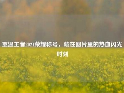 重温王者2021荣耀称号，藏在图片里的热血闪光时刻