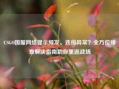 CSGO国服网络提示频发、连接异常？全方位排查解决指南助你重返战场