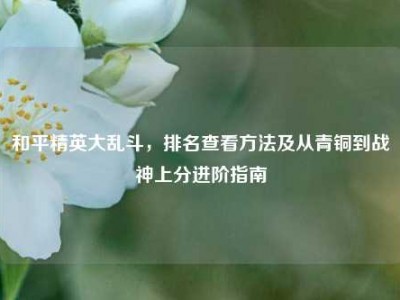 和平精英大乱斗，排名查看方法及从青铜到战神上分进阶指南