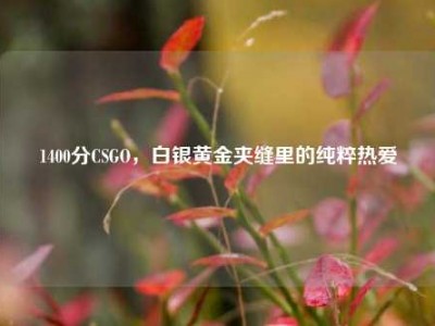 1400分CSGO，白银黄金夹缝里的纯粹热爱