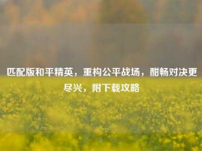 匹配版和平精英，重构公平战场，酣畅对决更尽兴，附下载攻略