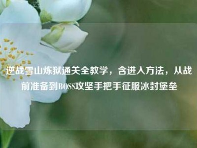 逆战雪山炼狱通关全教学，含进入方法，从战前准备到BOSS攻坚手把手征服冰封堡垒
