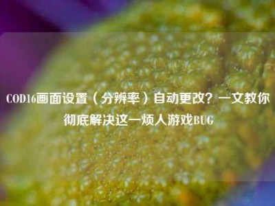 COD16画面设置（分辨率）自动更改？一文教你彻底解决这一烦人游戏BUG
