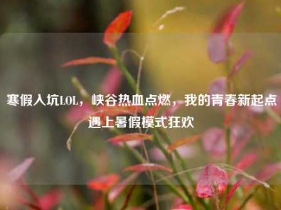 寒假入坑LOL，峡谷热血点燃，我的青春新起点遇上暑假模式狂欢