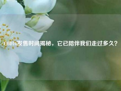 COD16发售时间揭秘，它已陪伴我们走过多久？