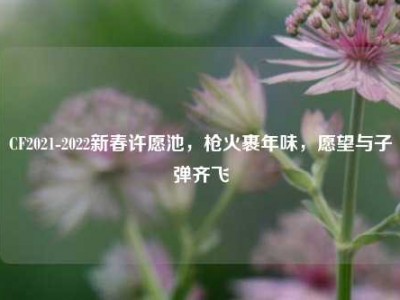 CF2021-2022新春许愿池，枪火裹年味，愿望与子弹齐飞