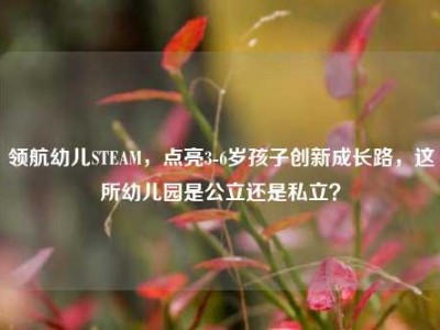 领航幼儿STEAM，点亮3-6岁孩子创新成长路，这所幼儿园是公立还是私立？