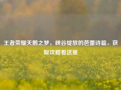 王者荣耀天鹅之梦，峡谷绽放的芭蕾诗篇，获取攻略看这里