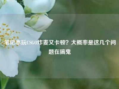 笔记本玩CSGO炸麦又卡顿？大概率是这几个问题在搞鬼