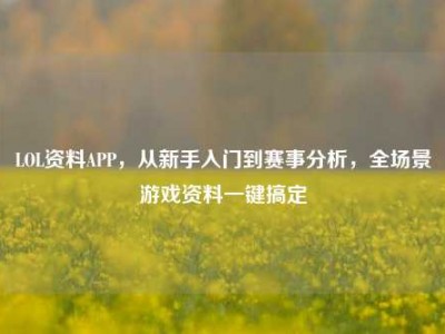 LOL资料APP，从新手入门到赛事分析，全场景游戏资料一键搞定