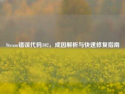 Steam错误代码102，成因解析与快速修复指南