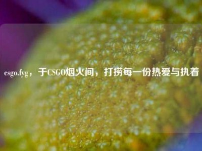 csgo.fyg，于CSGO烟火间，打捞每一份热爱与执着