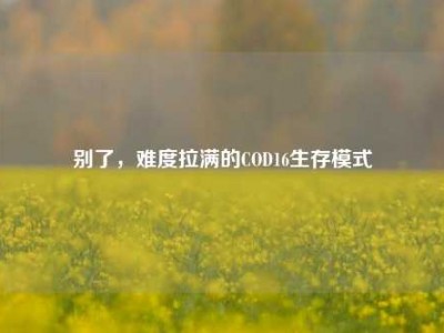 别了，难度拉满的COD16生存模式