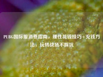PUBG国际服消费指南，理性花钱技巧+充钱方法，玩转战场不踩坑
