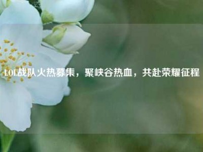 LOL战队火热募集，聚峡谷热血，共赴荣耀征程