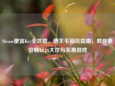 Steam便宜Key全攻略，薅羊毛避坑指南，教你低价畅玩3A大作与实惠游戏