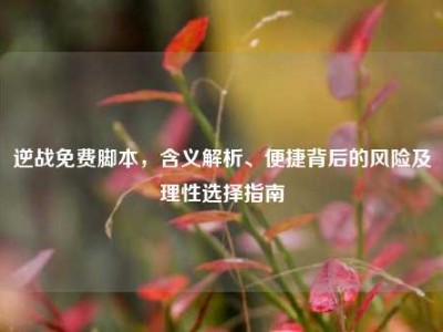 逆战免费脚本，含义解析、便捷背后的风险及理性选择指南