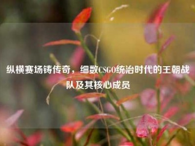 纵横赛场铸传奇，细数CSGO统治时代的王朝战队及其核心成员