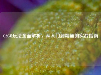 CSGO玩法全面解析，从入门到精通的实战指南