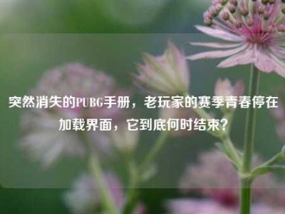 突然消失的PUBG手册，老玩家的赛季青春停在加载界面，它到底何时结束？