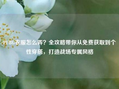 PUBG衣服怎么弄？全攻略带你从免费获取到个性穿搭，打造战场专属风格