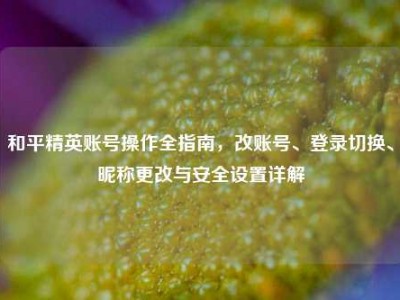 和平精英账号操作全指南，改账号、登录切换、昵称更改与安全设置详解
