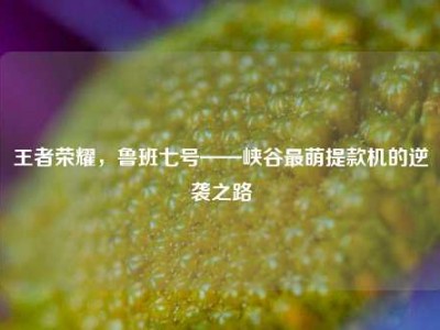 王者荣耀，鲁班七号——峡谷最萌提款机的逆袭之路