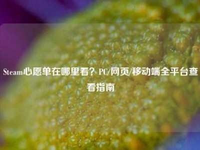 Steam心愿单在哪里看？PC/网页/移动端全平台查看指南