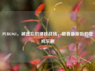 PUBG961，被遗忘的硬核战场，藏着最原始的吃鸡乐趣