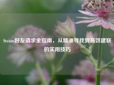 Steam好友请求全指南，从精准寻找到高效建联的实用技巧