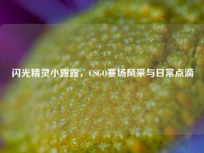闪光精灵小露露，CSGO赛场风采与日常点滴