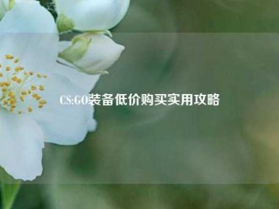CS:GO装备低价购买实用攻略