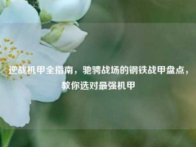 逆战机甲全指南，驰骋战场的钢铁战甲盘点，教你选对最强机甲