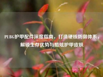 PUBG护甲配件深度指南，打造硬核防御体系，解锁生存优势与酷炫护甲皮肤